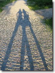 stíny přátelství