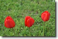 krásy Melechovské chaloupky:)