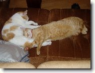 u maminky je nejlíp