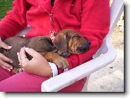 Mon chéri - můj miláček