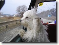 náš malý cestovatel