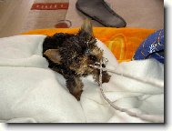 Tedíček - naše radost s velkým "R"