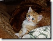 první větší obhlídka