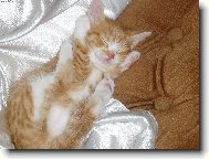 po práci je nutný odpočinek