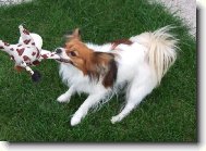 To je mojéééééé!!!!!!