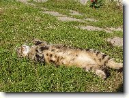 Odpočinek po očistě