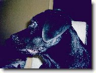 můj profil v 6 měsících