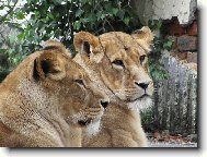 ohodnoťte prosím!!