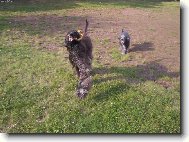 ááá Cidinka dostala klacíček