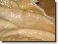 Koněpruské jeskyně