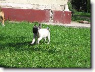 Létající Johny:-)