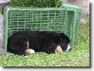 Tak tady spím nejraději.