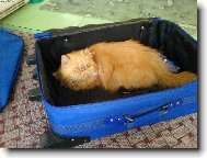 Vdyť jste říkali, že jedem........ nebo ne???