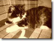 Moje sluníčko...  :o))