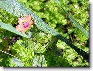 V jednoduchosti je krása...