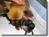 Deset minut na světě !