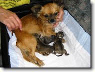 Tak, a jsme na světě všichni !!!