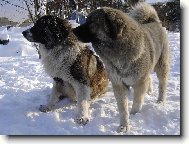 ááá něco se děje !!!!!!!