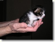 A to mám mít 10 kilo !!!