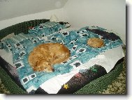 a kde budu spát já??