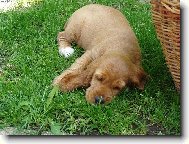 spánek před odpočinkem