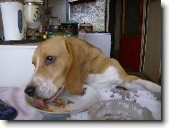 ještě přidat prosim