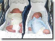 Dvojčátka z Osečné