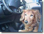 Teď už mě neujedou