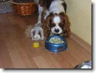 Hmm, to bude ale dobrůtka, hmm.