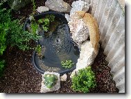 ty rybičky stejně vylovím