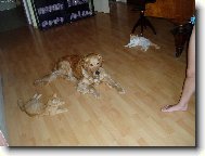 a co budeme dělat teď??