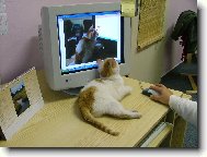 Ráda na sebe koukám...