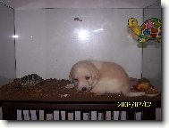 Tohle ale není máma...