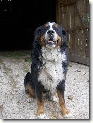 Sebastian to je pohoda- tak se vždy směju