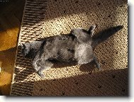 Unavená,ale spokojená.