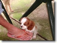 Jmenuju se Ketty....říkáte mi Káťo,tak se se mnou mazlete!!!