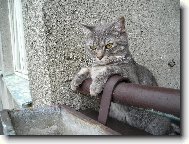 To je posezeníčko.