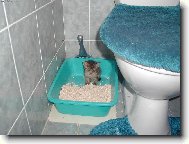 Jsem tu dobře na WC ??