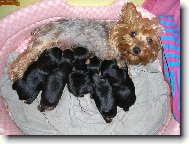 Peggynka pyšná máma !!