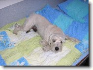 To se to bude spát !