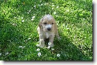 na tom světě je krásně