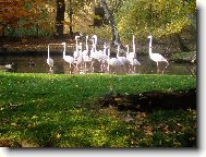 pohled do ptačí říše