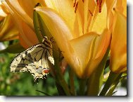 ODPOČÍVAM NA CHVILKU