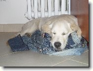 všude se spí dobře