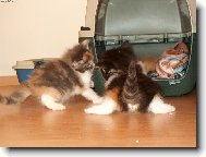 Je to tu jako na kluzišti!