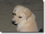 Kuk!Kdo mě to fotí?!