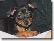 Poprvé doma - 7 týdnů