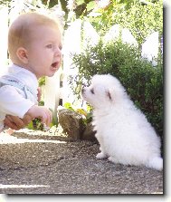 o čem si povídají