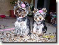 Jdeme ven-ještě foto:-)