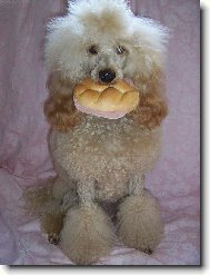 Eliška alias Komisař Rex